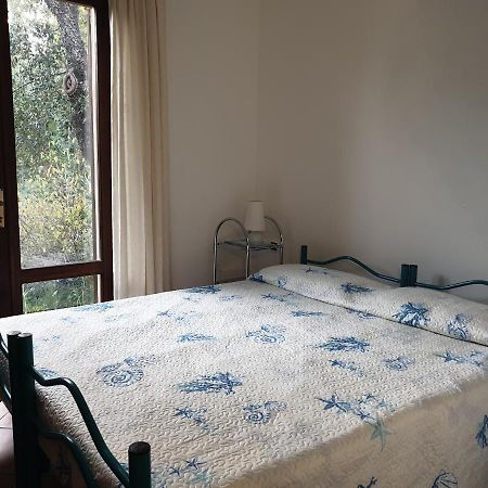 Villetta Porto Corallo 维拉普特祖 外观 照片